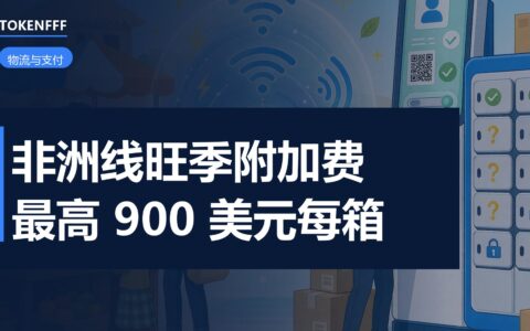 达飞非洲线集装箱堆场