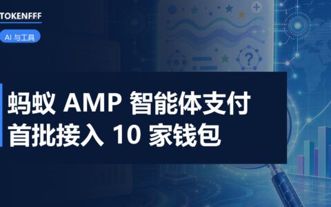 智能体支付跨境收付链路