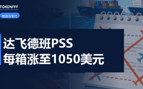 达飞德班航线集装箱与堆场