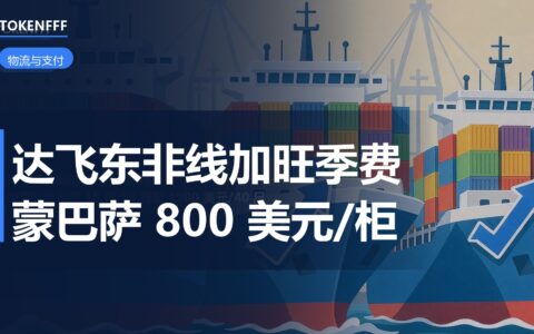 达飞东非线旺季附加费