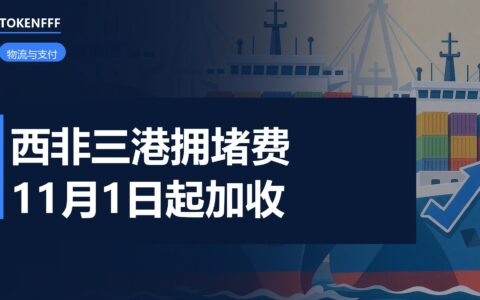 西非港口集装箱卸货现场