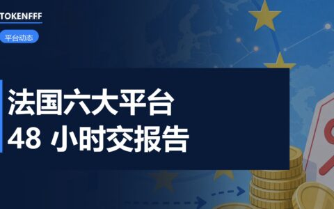 法国电商平台赃物管控