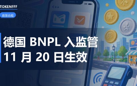 德国 BNPL 纳入消费信贷监管
