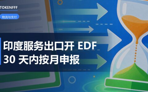 印度服务出口 EDF 月度申报：10 月起 30 天时限与平台对账
