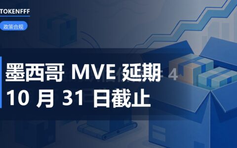墨西哥 MVE 电子价值申报延期