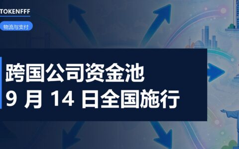 跨境资金池资金归集示意图
