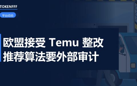 欧盟委员会接受 Temu 整改计划