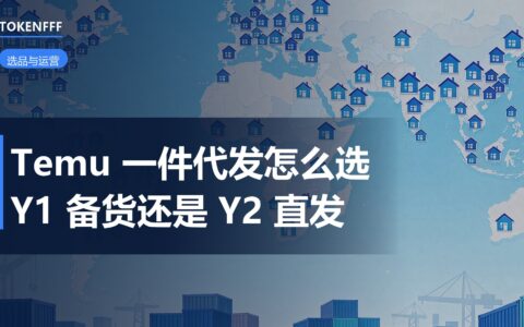 Temu 半托管 Y1 Y2 对账：10% 净利下试错几次见底