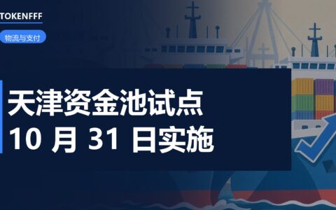 集团跨境资金池业务示意图