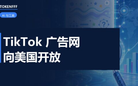 TikTok 广告网络后台投放界面
