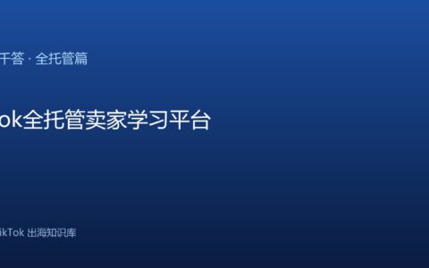 TikTok千问千答 全托管篇