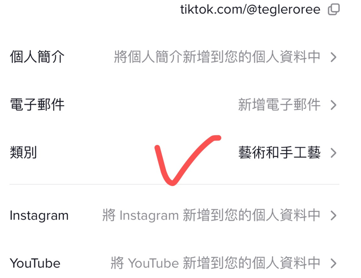 图片展示了TikTok账号个人资料设置界面。左侧有“个人简介”“电子邮件”“类别”“Instagram”“YouTube”等选项,右侧对应有“将个人简介新增到您的个人资料中”“新增电子邮件”“艺术和手工艺”“将Instagram新增到您的个人资料中”“将YouTube新增到您的个人资料中”等内容。其中“类别”选项被红色箭头指向,右侧显示“艺术和手工艺”,表明该选项被选中。此图与上文“TikTok账号零粉,如何切换企业账号?”中选择企业类别以切换企业账号的内容相关,直观呈现了类别选择界面。