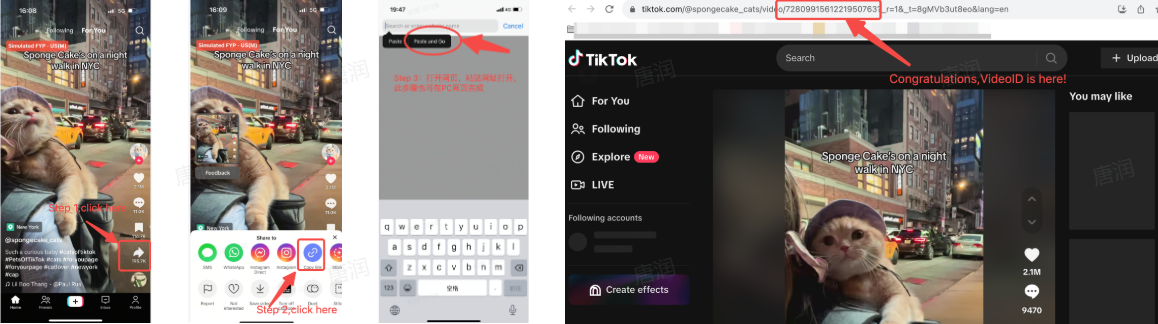 图片展示了TikTok短视频ID查找的步骤。左上角是视频界面,红框标注“Step 1: Click here”。左下角是视频播放界面,红框标注“Step 2: Click here”。右上角是视频播放界面,红框标注“Step 3: Click here”。右下角是视频详情页,红框标注“VideoID is here”。这些步骤与文档中“Video ID/短视频ID/视频ID查找方式/每个视频的ID均不同”内容对应,直观呈现查找过程。
